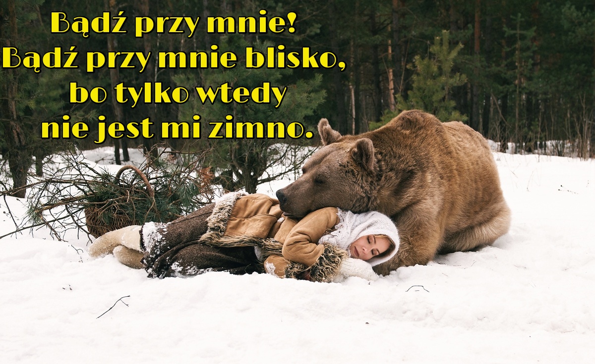 Niedźwiedź ogrzewa przyjaciółkę zimno mi